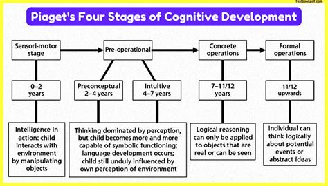 piaget stages of cognitive development pdf.